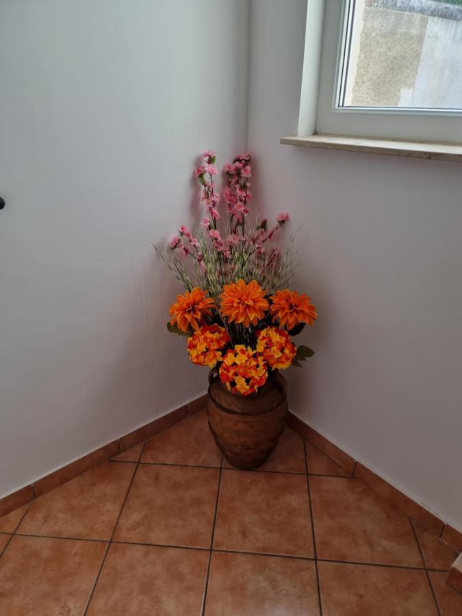 Apartment Katarina Smrika