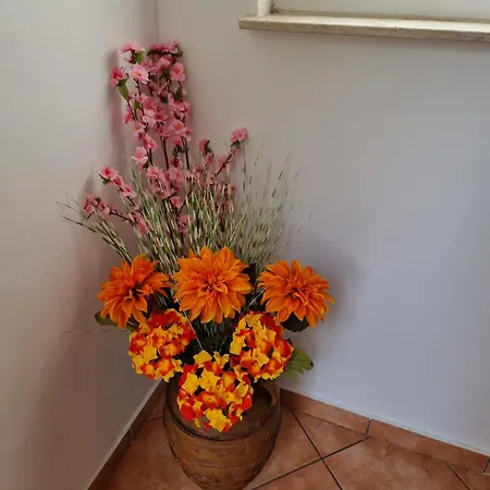 Apartments Katarina Smrika Room photo